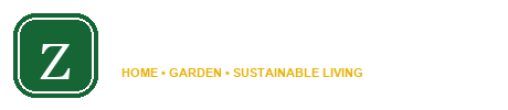 About Zeusote