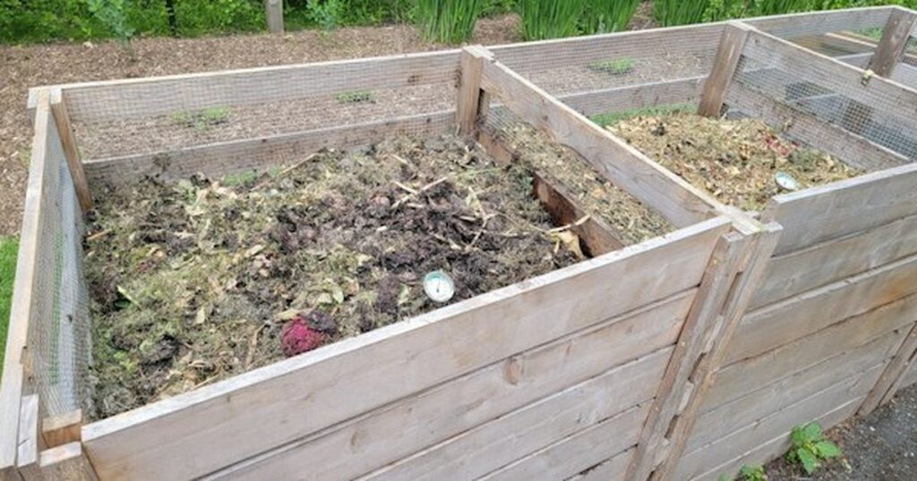 Indoor Composting Without Odors: A Practical Apartment Bokashi and Worm Guide