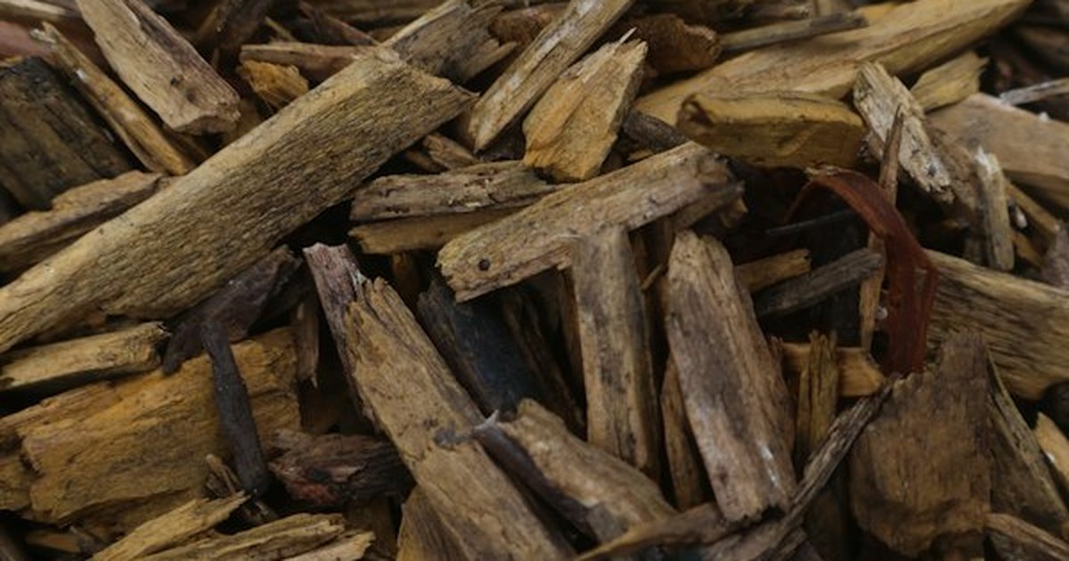 Coarse chunky orchid bark chips creating aerated substrate pockets for indoor plants