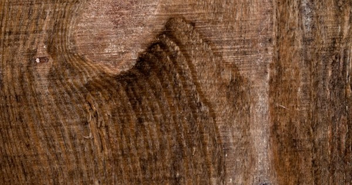 Close-up texture of natural solid hardwood timber grain and knot details after nourishing oil treatment