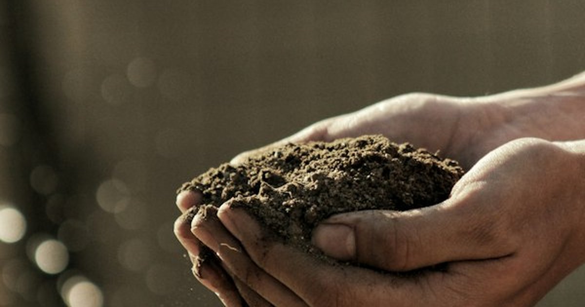 Gardener hands cupping dark rich finished organic compost soil earth