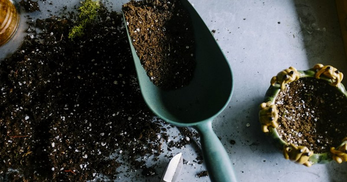Potting scoop with aerated soil amendment and organic substrate for indoor plant potting